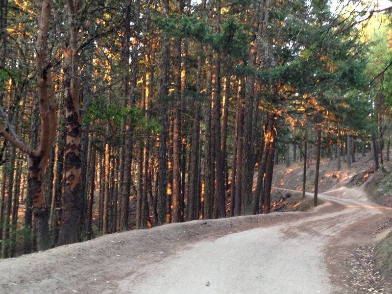 Cruising up the Loop Road as it approaches Lamb Saddle