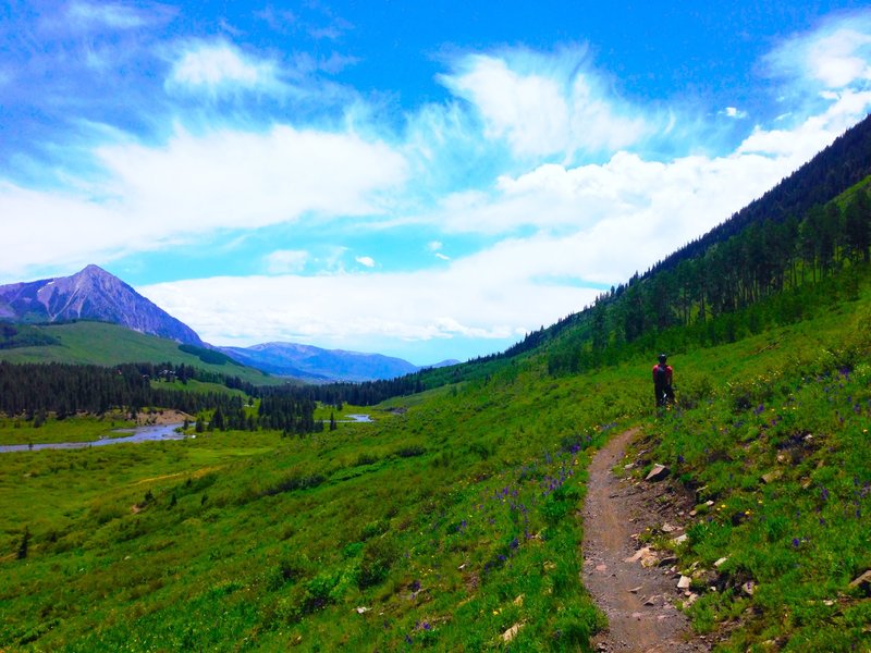 Gorgeous views along the entirety of the Upper Lower Trail.