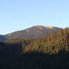 View of Mt Ashland from the Loop Road below Four Corners