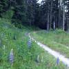 Approaching Bull Gap while going up Road #200, the grade eases off for a while...