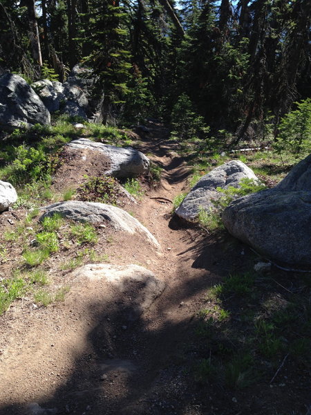 Granite boulders along the way on Time Warp