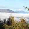 Mt McLoughlin from Ostrich Peak