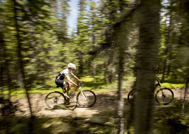 Cruising through the trees before the descent on Spruce Creek