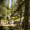 Cruising through the trees before the descent on Spruce Creek