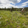 Mountains and wildflowers on Flume