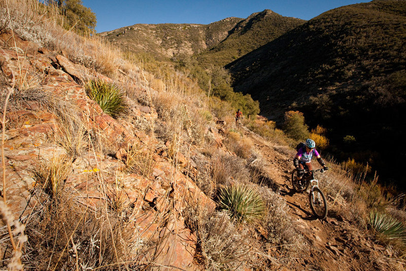 The lower reaches of the Noble Canyon trail travel through the desert.