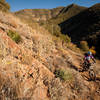 The lower reaches of the Noble Canyon trail travel through the desert.