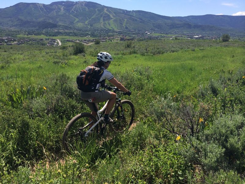 The aptly-names Howelsen Meadows Trail