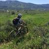 The aptly-names Howelsen Meadows Trail