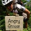 Beware the Angry Grouse!