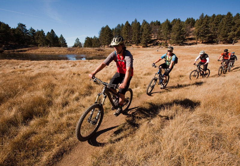 The San Diego Mountain Bike Association crew on the Water of the Woods section of the Big Laguna trails.