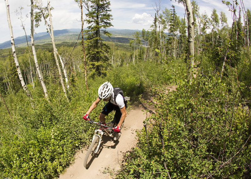 Quarry Mountain climbs to the top of Emerald Mountain through big aspens