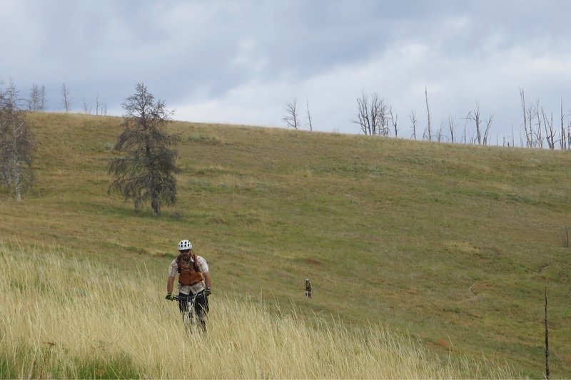 Descending another grassy ridge