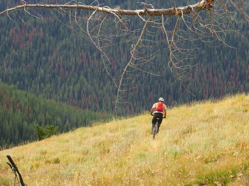 Heading down to the junction with Colter Creek