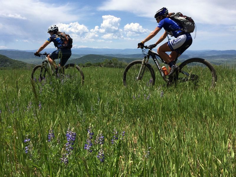 The big meadow crossing on Madhouse Trail.  Love the wild lupine!