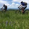 The big meadow crossing on Madhouse Trail.  Love the wild lupine!