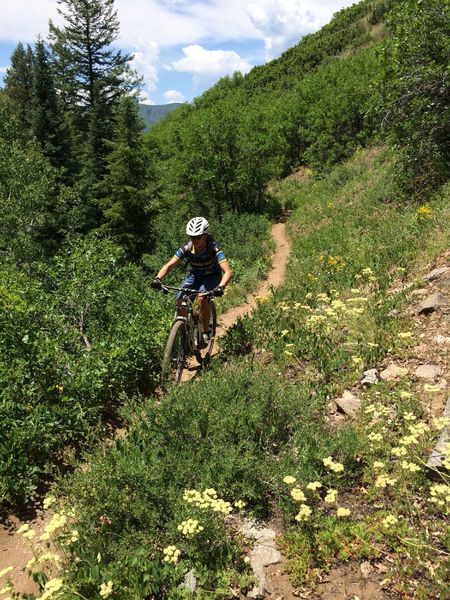 Megan cruising up the Hot Spring Trail