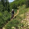 Megan cruising up the Hot Spring Trail