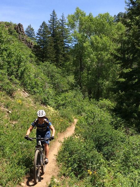 Higher up the Hot Spring Trail