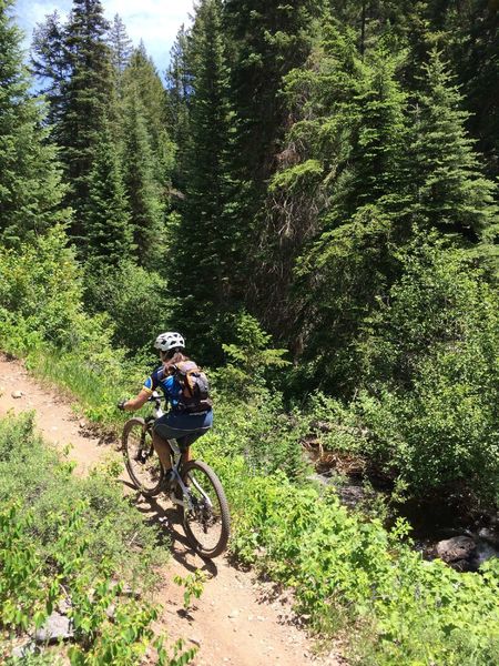 Nice riding right above the creek.