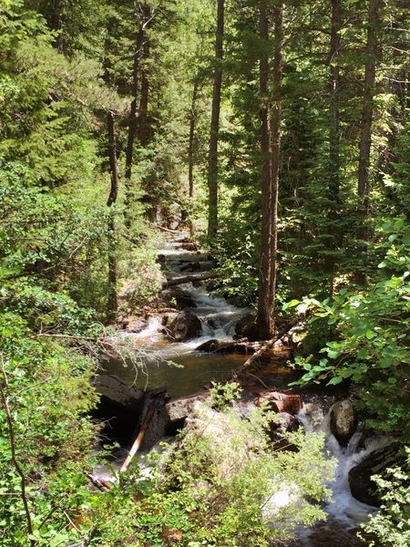 Cool section of small waterfalls