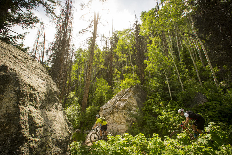 Big boulder section on Spring Creek trail.