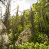 Big boulder section on Spring Creek trail.