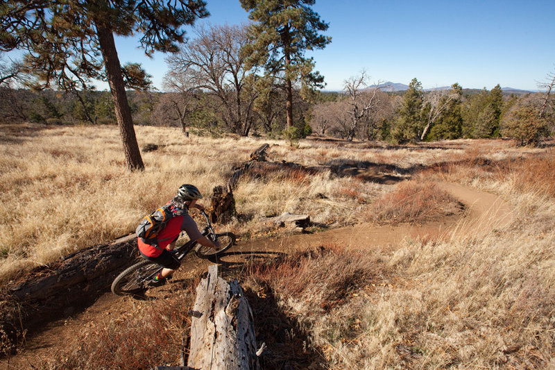 The upper part of Red Tail Roost on BLT to Noble Canyon is open and flowing