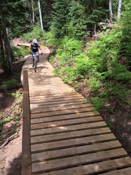 Cool bridge on Tenderfoot