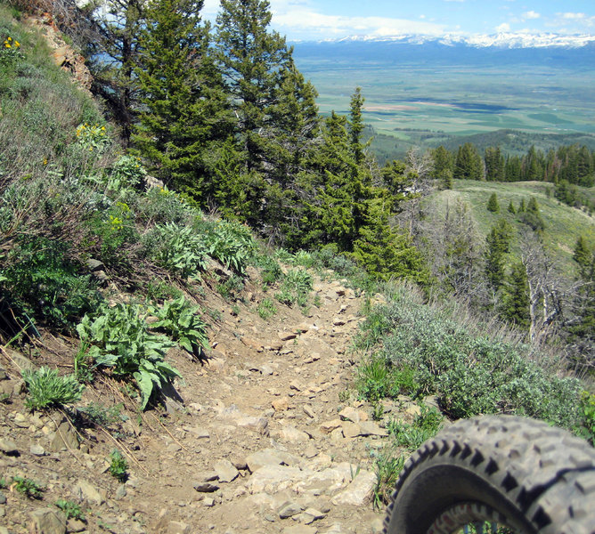 Tops of the rocks, and a look at what to expect.