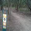 Severe Consequences Loop at the Walnut Creek Metro Park Trails