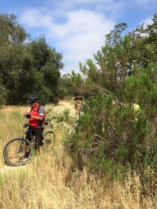 Turn around point and back.