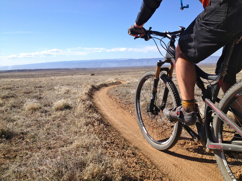 Sweet singletrack as far as the eye can see!