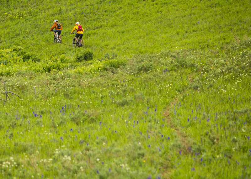 Faint singletrack, a mountain biker's dream. Hinman Creek Trail.