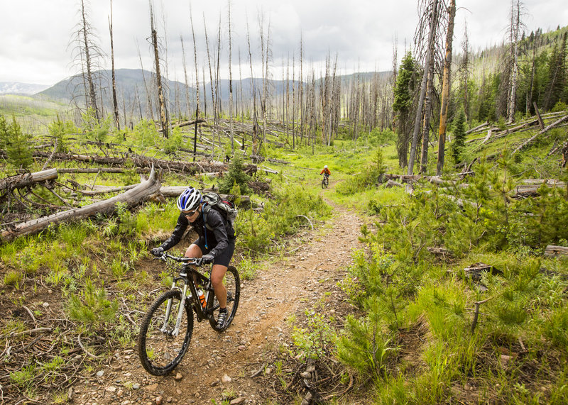 Pedaling up a short hill on the Diamond Park trail.