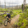 Pedaling up a short hill on the Diamond Park trail.