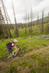 Making the connection to Coulton Creek trail on Cutover trail.