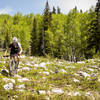 An extra rocky section on Pete's Wicked trail requires some good mountain biking skills.