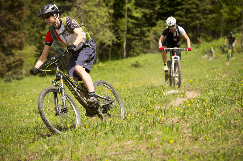 The lower end of Pete's Wicked features plenty of skinny and fast singletrack.