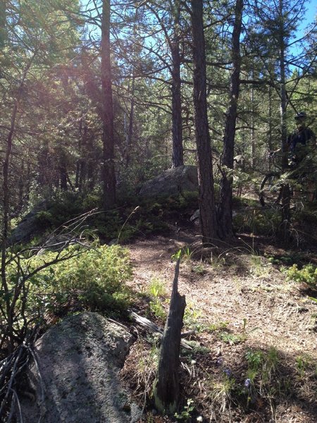 One of what seems like 700 switchbacks on the descent...watch out for loose gravel.