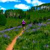 Riding through fields of Lupine.