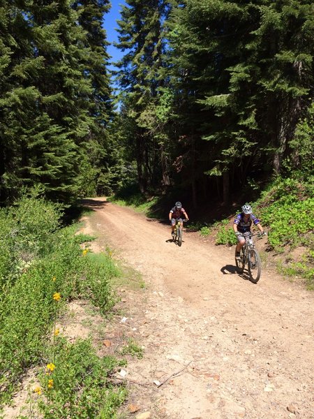 Wrapping up the Park Ridge loop can be tough after everything before it.