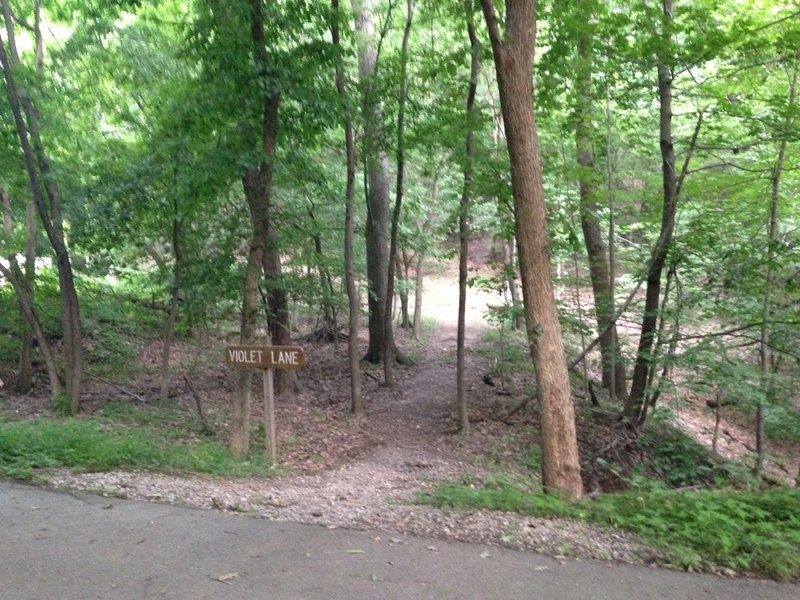 Violet Lane Trailhead off Riverview Ave