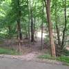 Violet Lane Trailhead off Riverview Ave