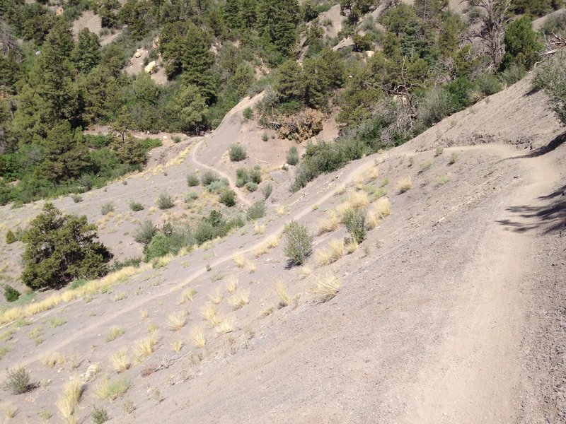 An open section of trail on Hogsfoot