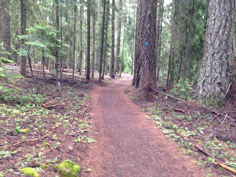 High Lakes Trail one mile from Fish Lake Resort