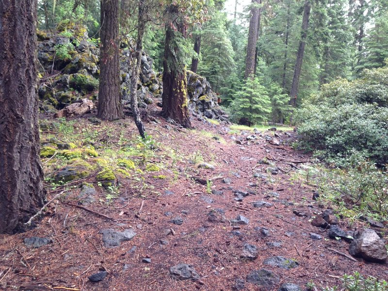 Final climb on Brown Mountain Trail before reaching High Lakes Trail