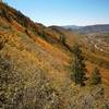 Looking south at Raiders Ridge, fall time, from Skyline trail