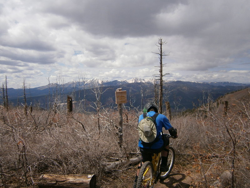 At the top, about to shred the gnar.  Big bikes and full faces not required but are certainly handy and fun on this trail.  Hit it in the spring before the leaves pop out and make the corners blind.