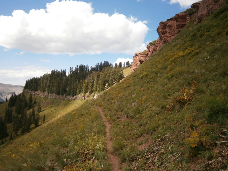 If you like tight singletrack, solitude, and epic views, White Creek is for you!